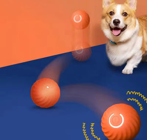 Smart leksaksboll – oemotståndlig glädje för din hund & katt! sveabuy