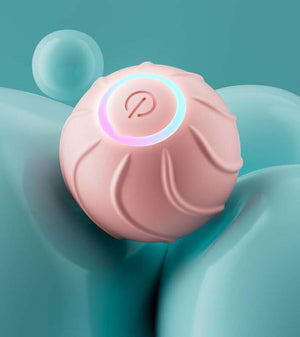 Smart leksaksboll – oemotståndlig glädje för din hund & katt! sveabuy