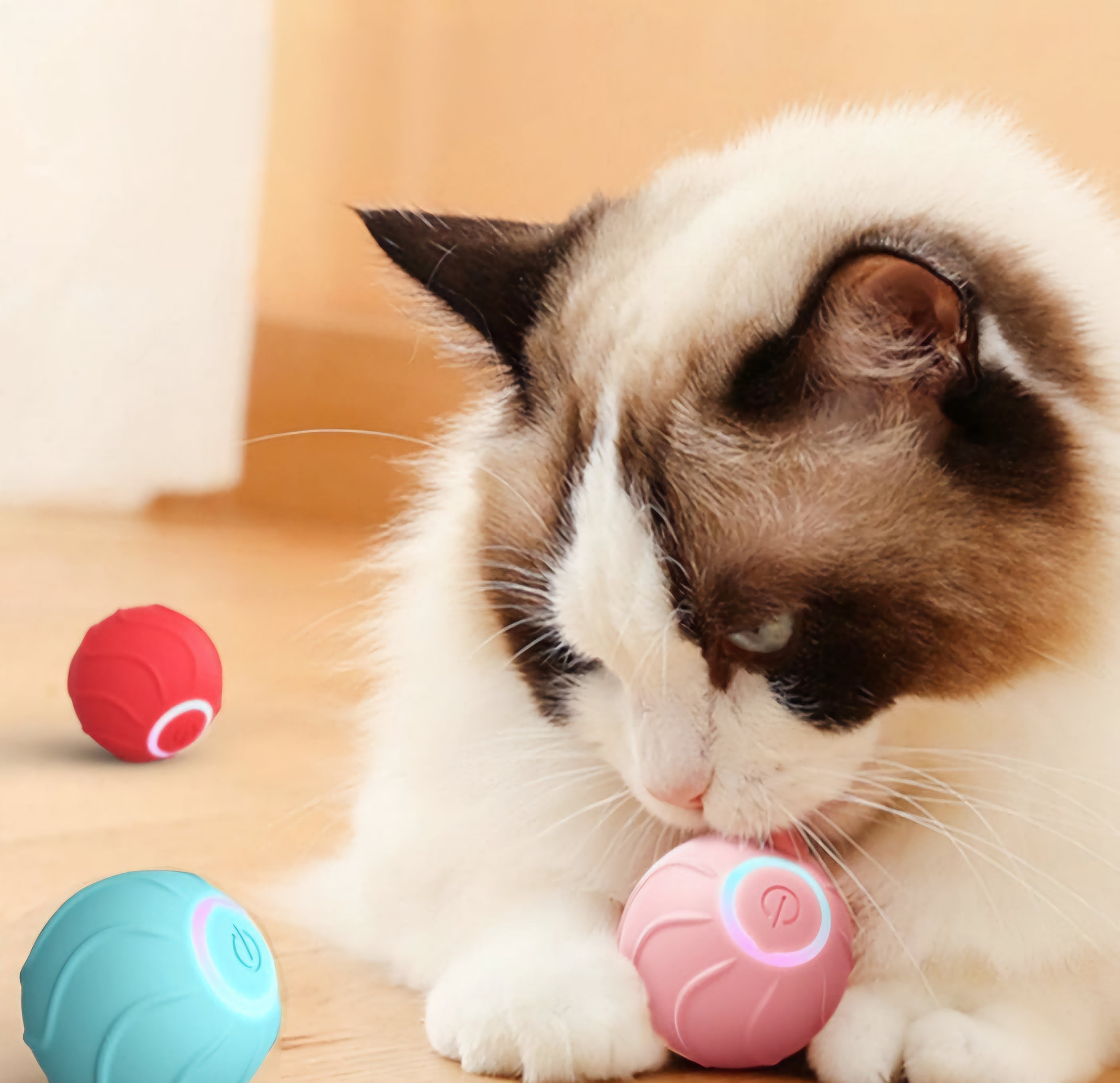Smart Boll đ¶ OemotstĂ„ndlig GlĂ€dje för Din Hund & Katt!