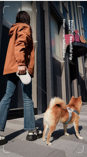 Flexibel och Säker Hundkoppel – Justerbar, Hållbar och Bekväm sveabuy