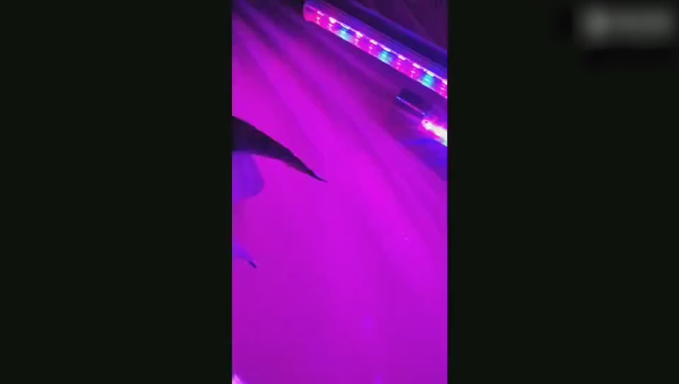Goodland LED Grow Light USB Phyto Lamp Full Spectr